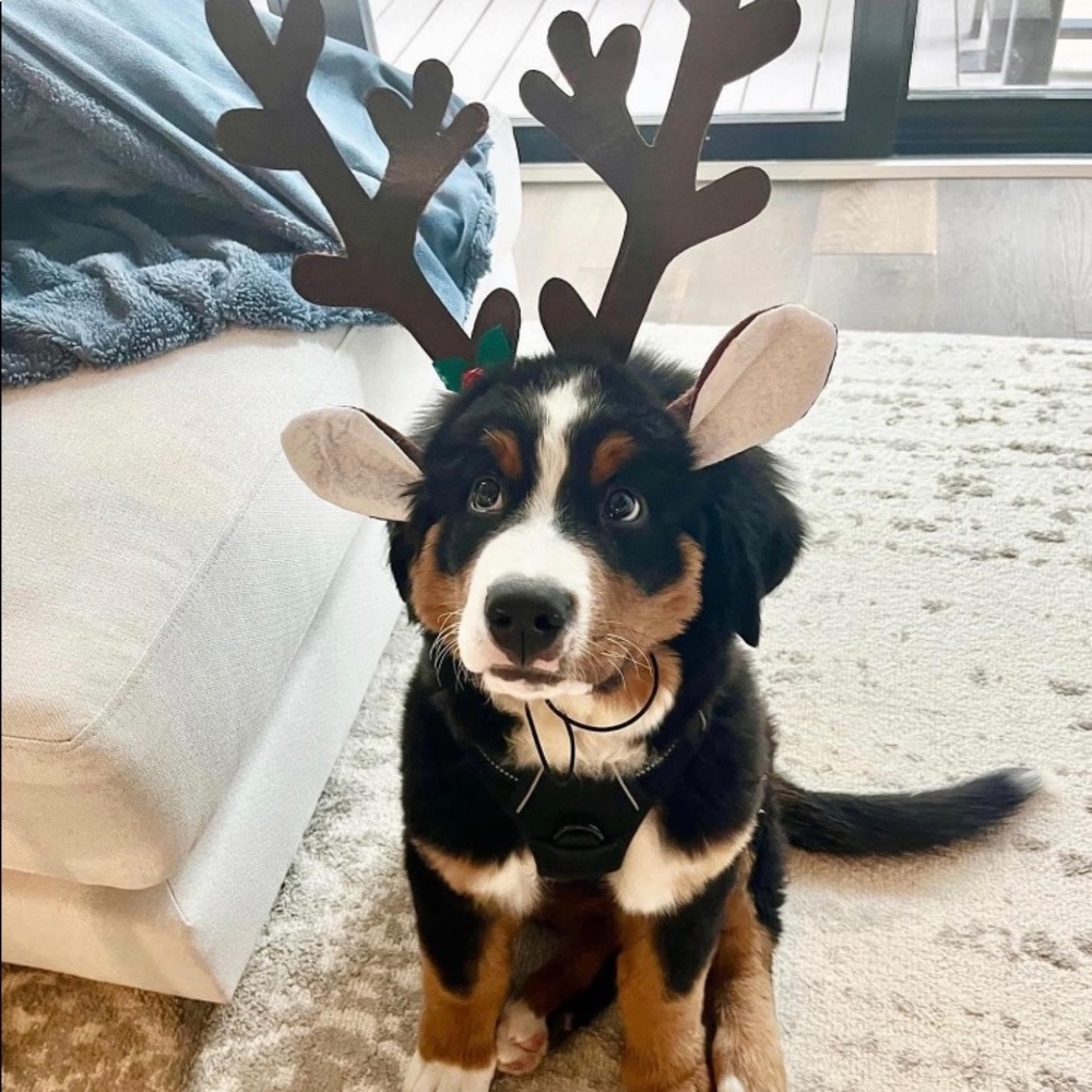 Holiday Vacation 12/20-12/29
